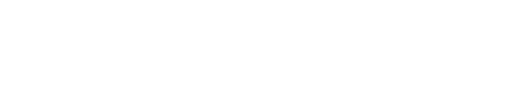 Cartica Logo