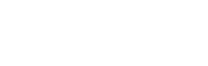 flai Logo