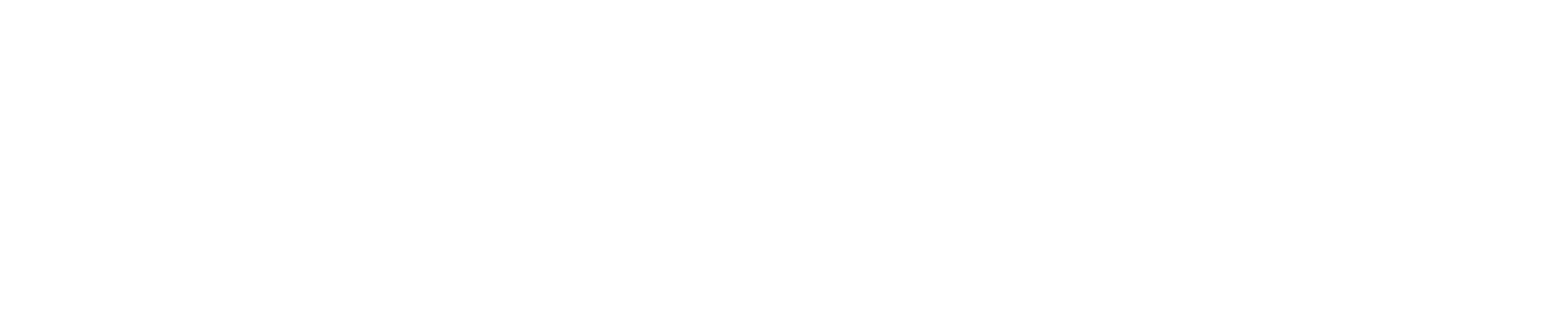 Natura Resources Logo